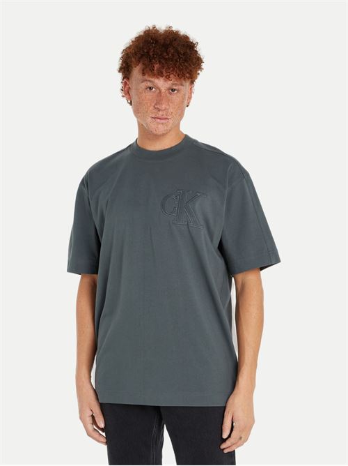 ck applique tee CALVIN KLEIN JEANS | J30J325657PSL